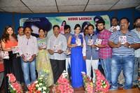 Danger Love Story Audio Launch